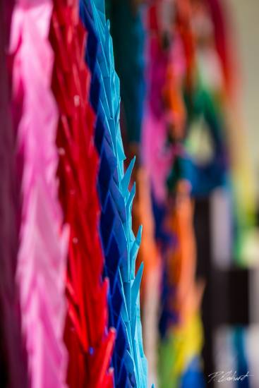 Folded Paper Cranes, Hiroshima Peace Park