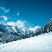 DSCF8759