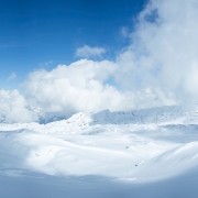 DSCF8801