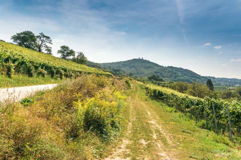 Am Anfang der Reise