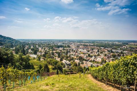 Gute Aussicht