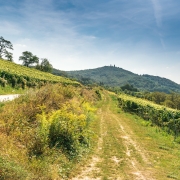 Am Anfang der Reise