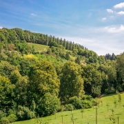 Sieht ein bisschen aus wie Italien ;)