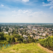 Gute Aussicht