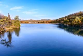 Lake view