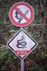 Snakes :o