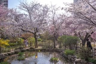 Shukkeien Garden