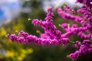 Amazing colors 2