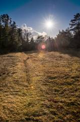 sun
