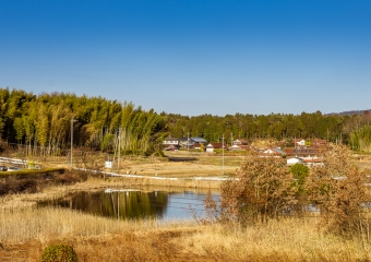 Lake Scenery