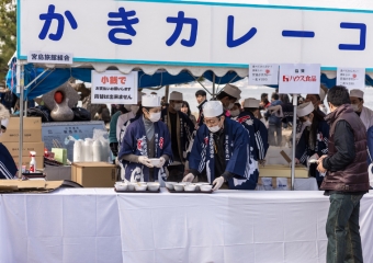 Oyster soup