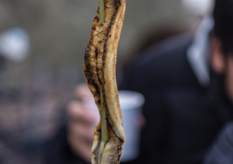 Sea Eel