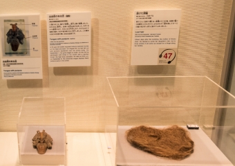 Human parts