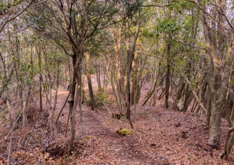 Pathway