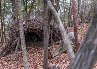 Who might be living there?