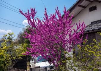 Amazing colors