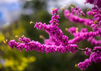 Amazing colors 2