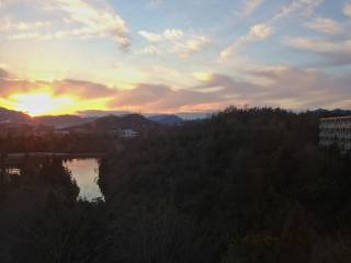 view from my window 2