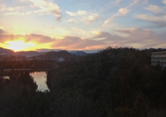view from my window 2