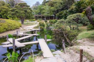 Bridge