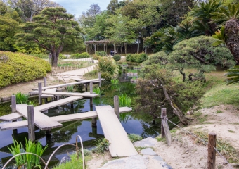 Bridge