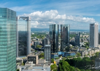 View from Gallileo