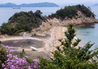 Island 2