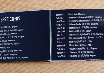 Inhaltsverzeichnis