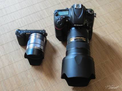 NEX-5R - D600 Vergleich 1