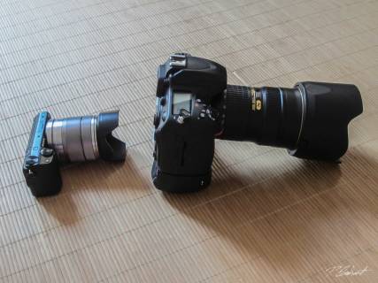 NEX-5R - D600 Vergleich 2
