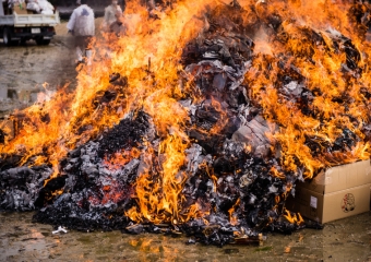 Tondo Festival 8