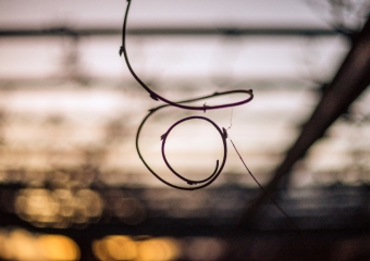 Picture of the Day 36