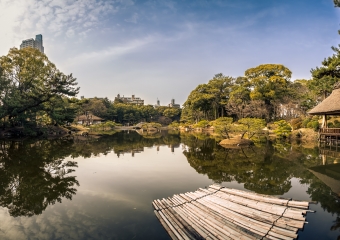 Picture of the Day 44
