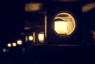 Picture of the Day 77