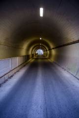Picture of the Day 64