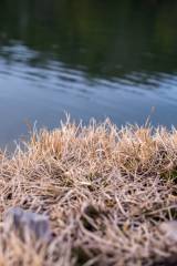 Picture of the Day 66
