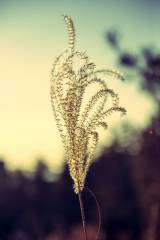 Picture of the Day 72