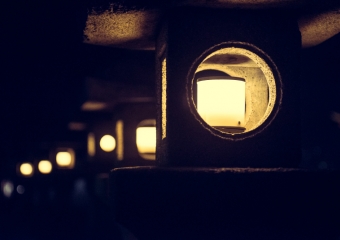 Picture of the Day 77