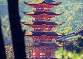 Picture of the Day 81