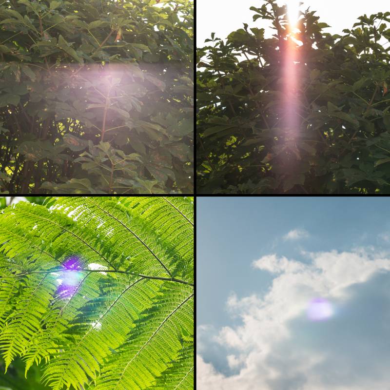Flares und ghosting