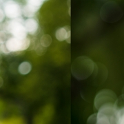 Bokeh bei ƒ/2.8
