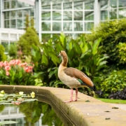 1/400 Sek. | ƒ/2.8 | ISO 100 | NEX 5R